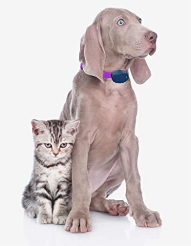 רצועת צווארון כלבים כבדה של ניילון כבד סגול עם סוללות RFA-67-תואמות לרוב צווארוני מקלט גדר insafe in regrond and wireless.