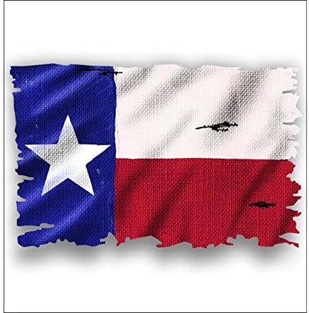גרפיקה ויניל גרפיקה טקסס מדבקה/מדבקות דגל טקסס